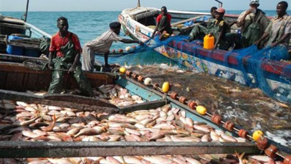 الوزير السينغالي يصل نواكشوط الاثنين لنقاش اتفاقية الصيد