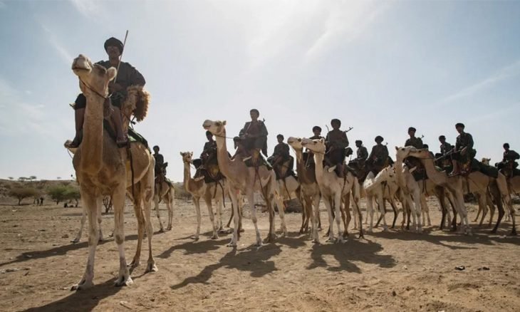 جمالة وحرس الحدود يواجهون الإرهاب والتهريب على ظهور العيس