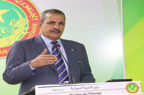 وزير التنمية الحيوانية: الدولة اعتمدت خطة لتمكين المنمين&nbsp;(…)