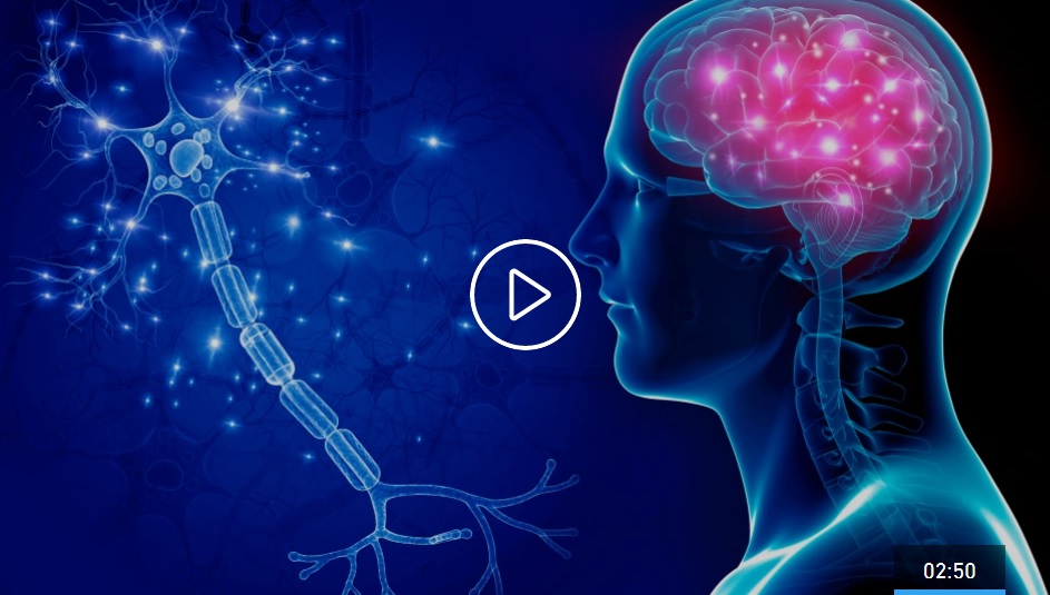 هذا ما يحدث لدماغ الصائم في رمضان