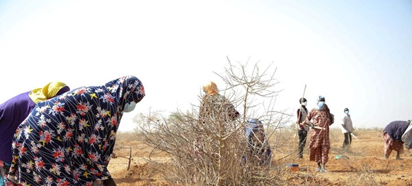 برنامج الأغذية العالمي يحذر من أزمة تتكشف في منطقة&nbsp;(…)